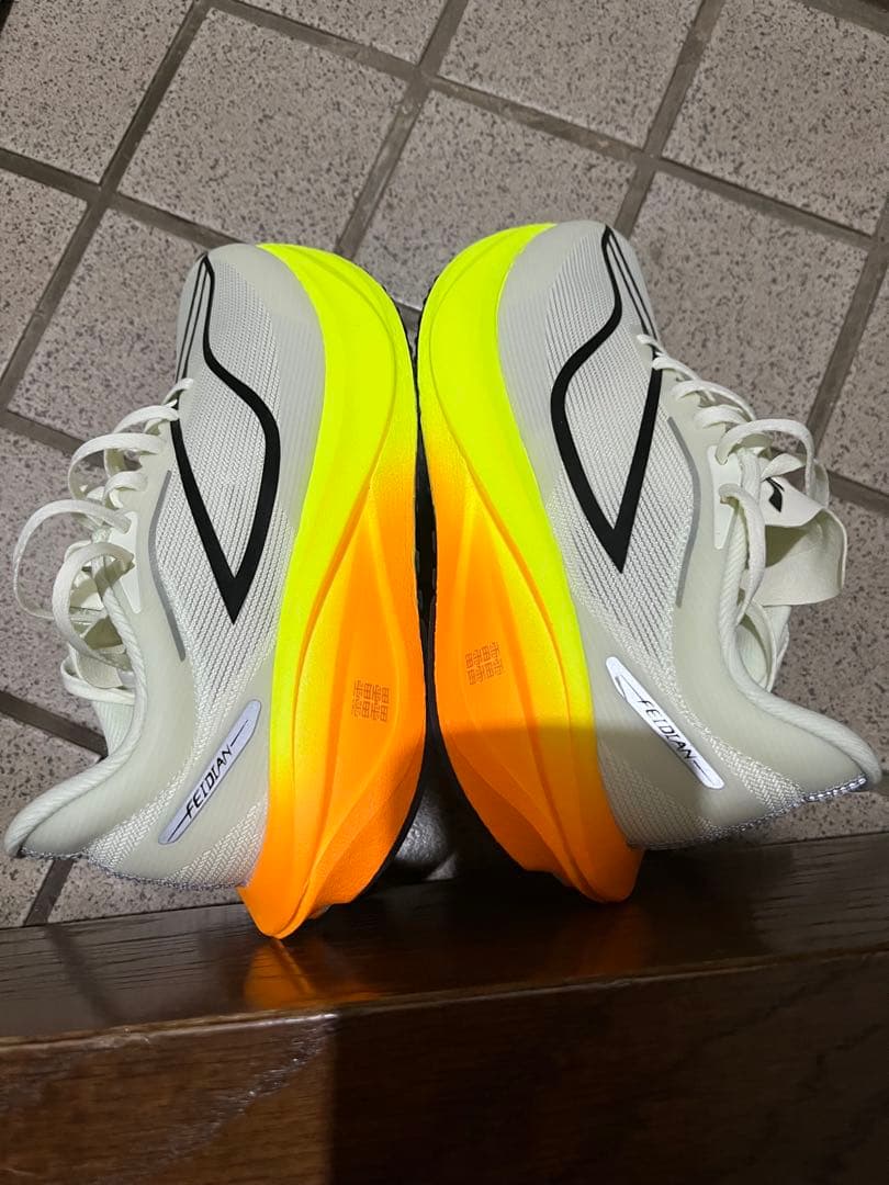 リーニン FEIDIAN5 CHALLENGER メンズ24.5cm US7