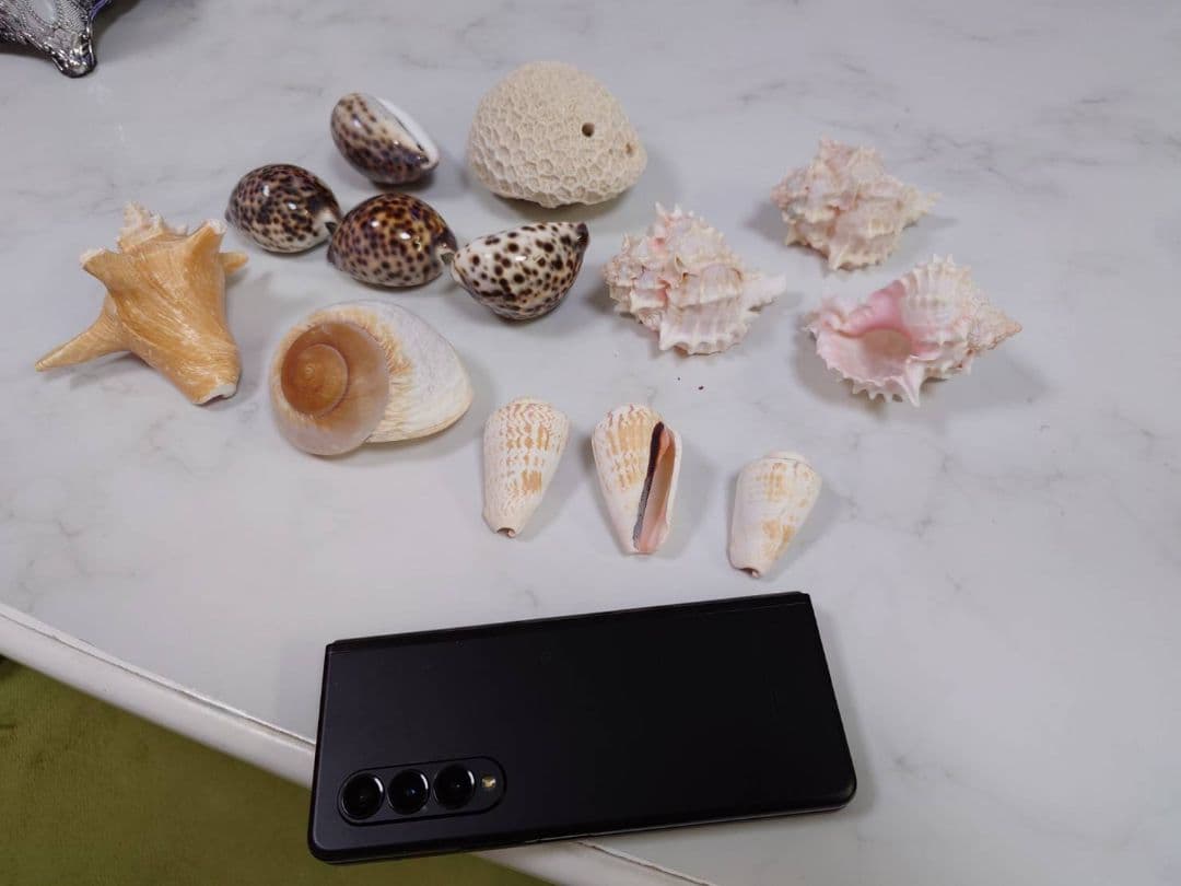 かいがら13セット