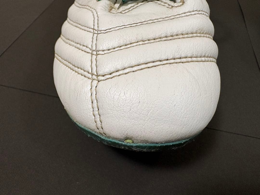 【値下げ】DS LIGHT X-FLY PRO 3 ゼログライドシューレース付