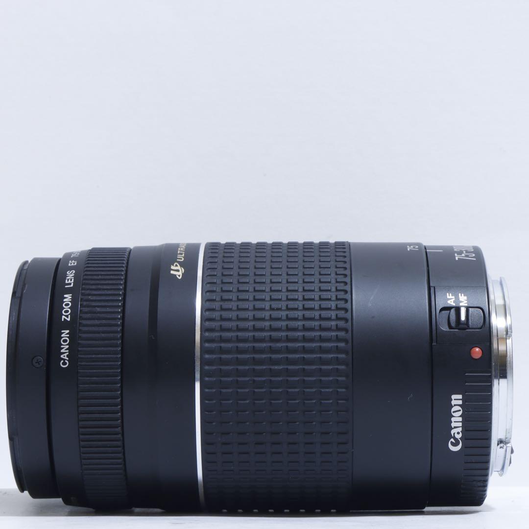 ◇超望遠&高速AF◇Canon純正 75-300mm Ⅲ型 超望遠レンズ!!◇