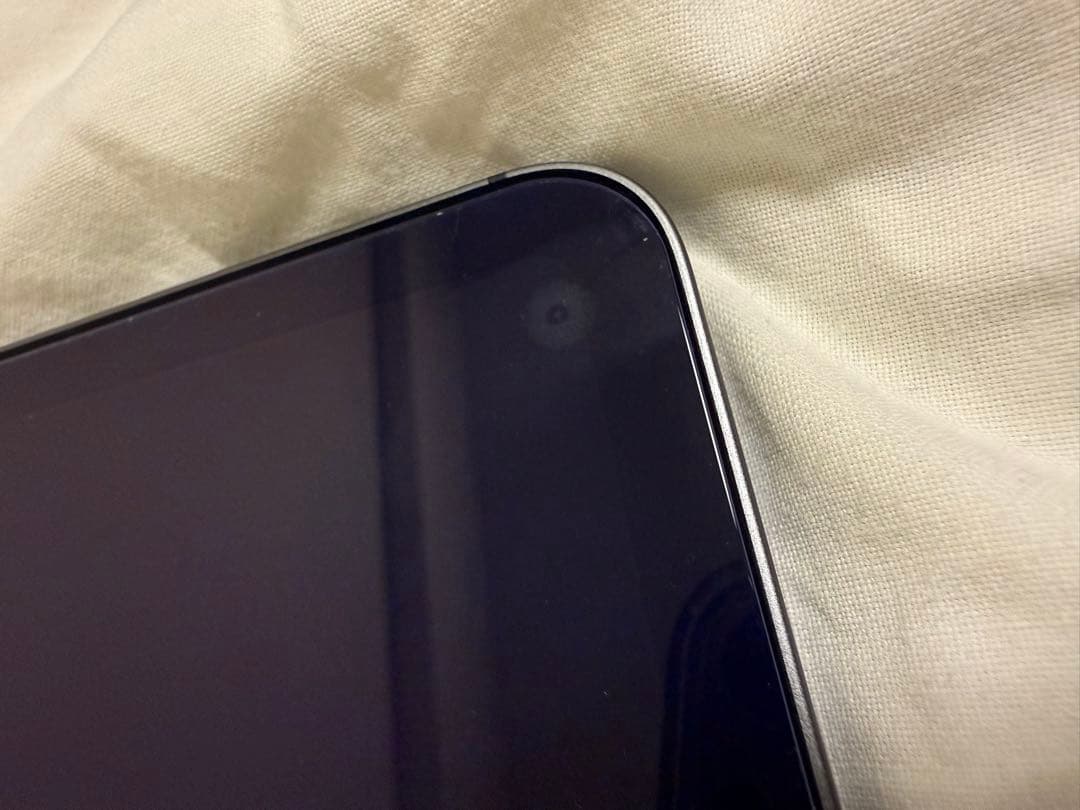 M1 iPad Pro 12.9インチ(第5世代) 256GB