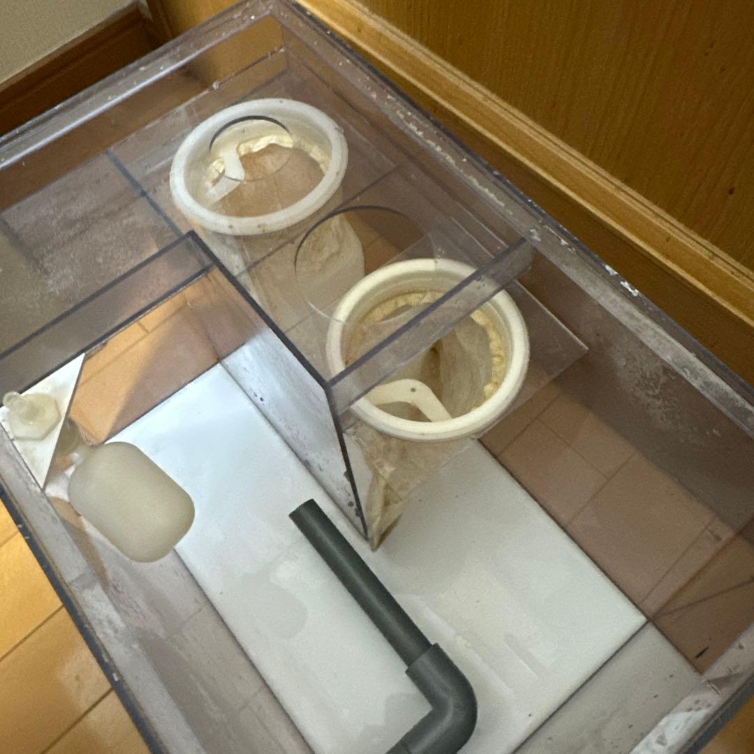 45cmオーバーフロー水槽