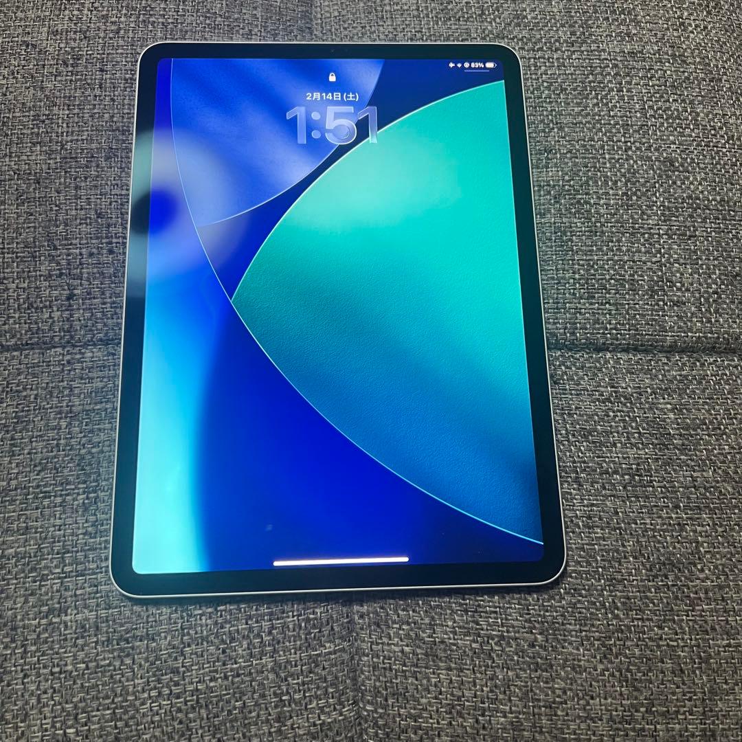 訳あり iPad Pro 11 第1世代 256GB WiFi