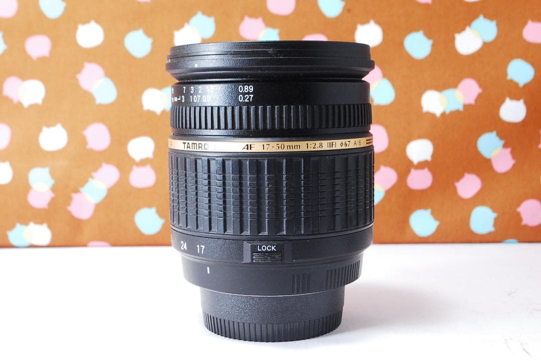 ✨状態良好✨ハイアマチュア機✨Nikon D100 レンズセット