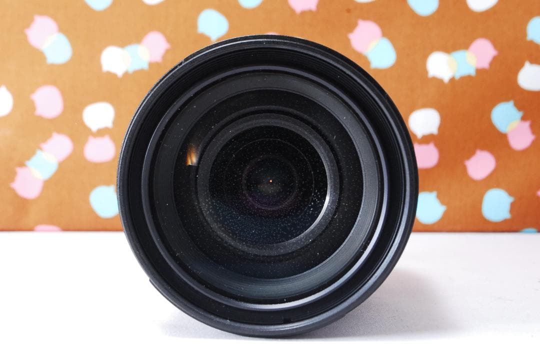 ✨状態良好✨ハイアマチュア機✨Nikon D100 レンズセット