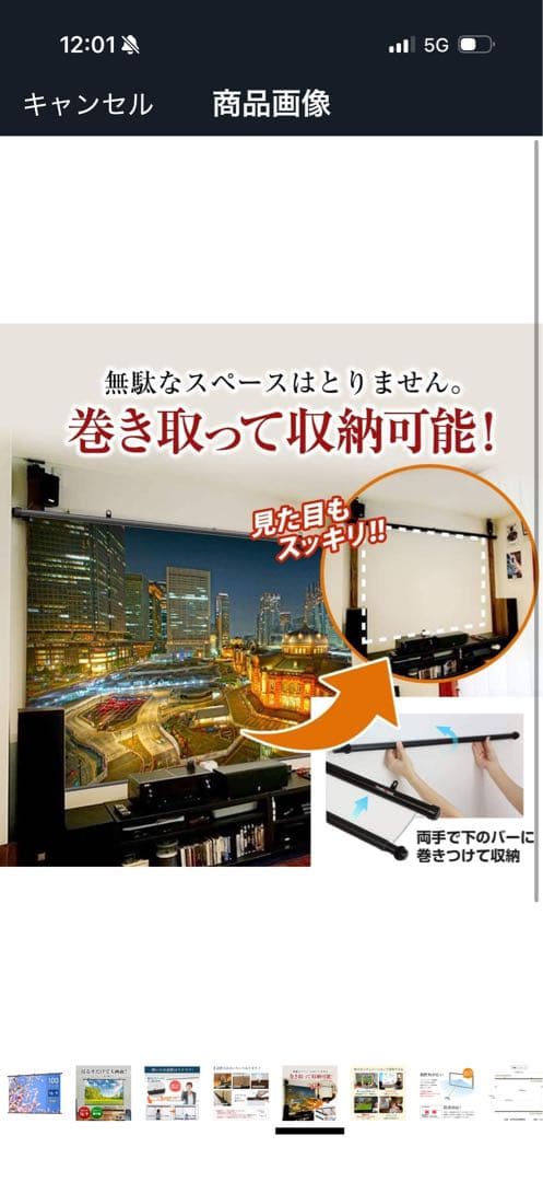 シアターハウス プロジェクター スクリーン 掛け軸タイプ 100インチ