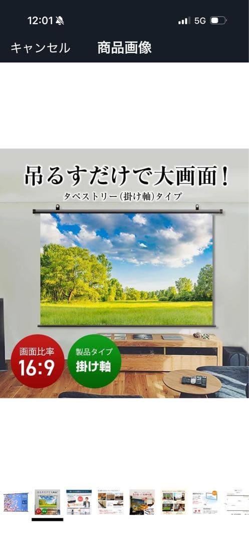 シアターハウス プロジェクター スクリーン 掛け軸タイプ 100インチ