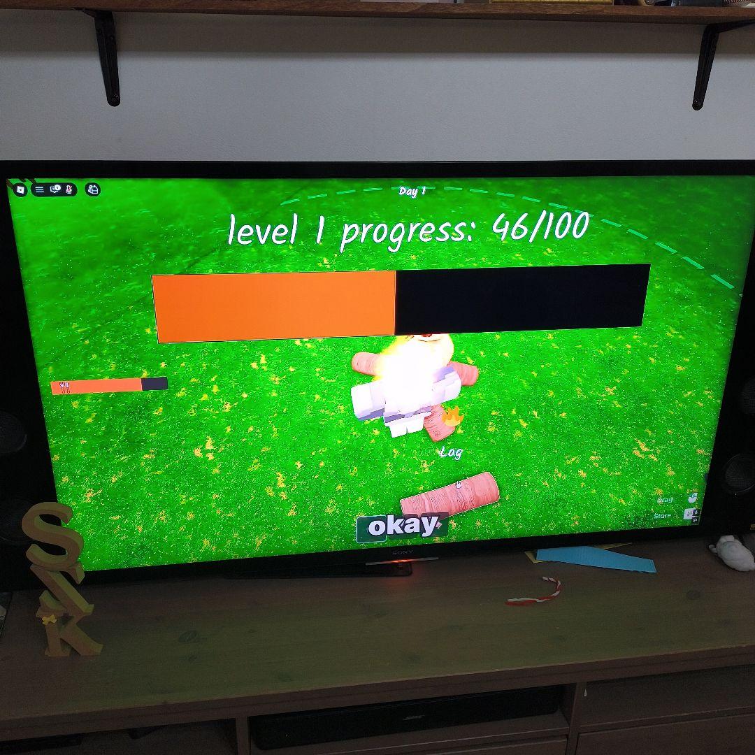 SONY 液晶テレビ 本体