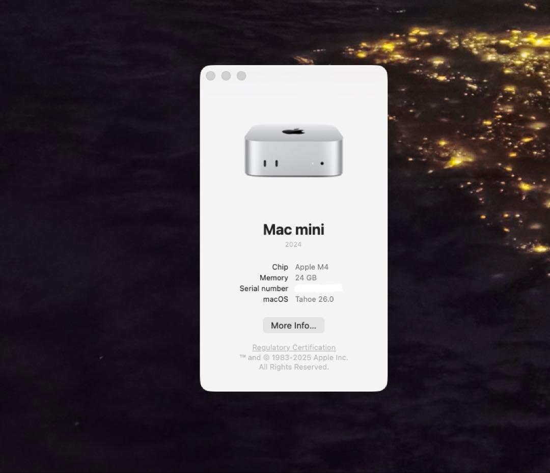 Apple Mac mini M4 24GB 512GB 10GbE 保証付