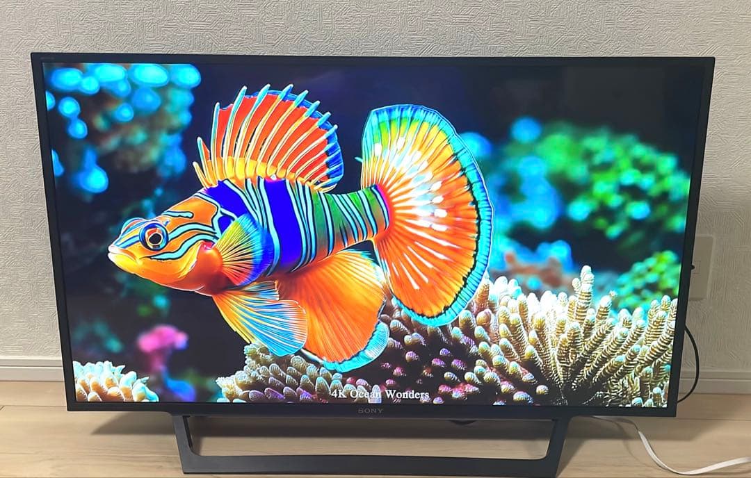 美品 SONY BRAVIA ４３Ｖ型 液晶テレビ 2019年製