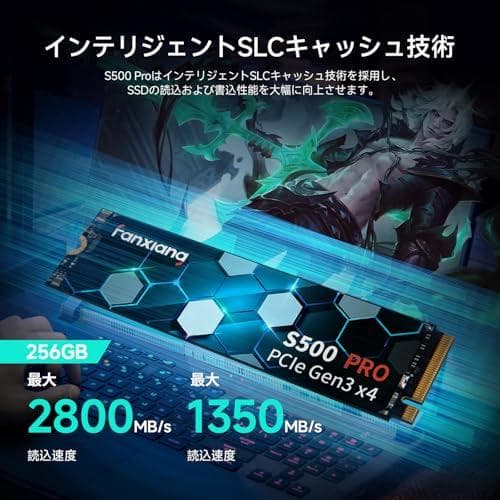 内蔵型SSD fanxiang SSD 256GB NVMe PCIe Gen3.0x4 2m