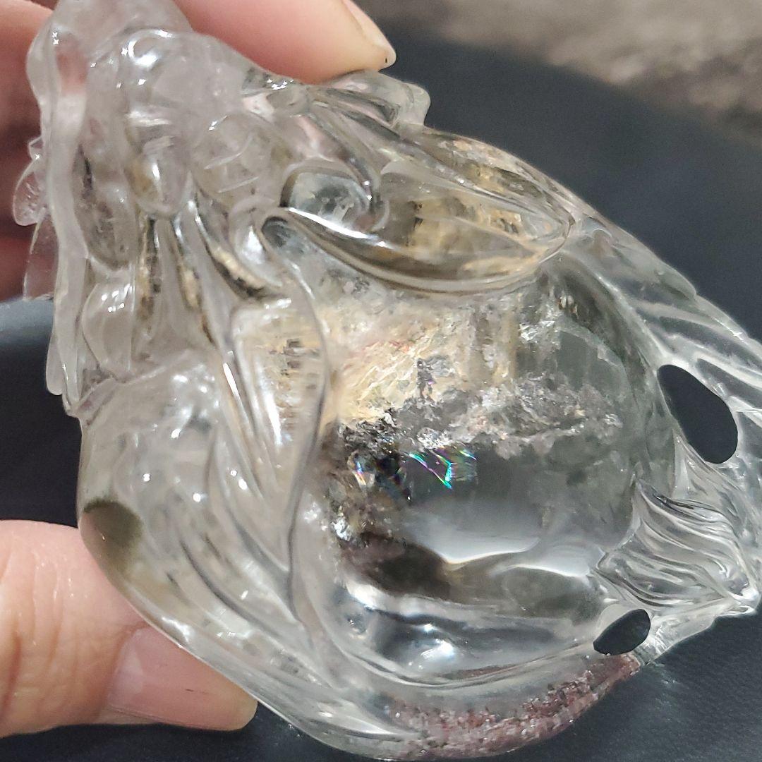 高品質ガーデン龍亀