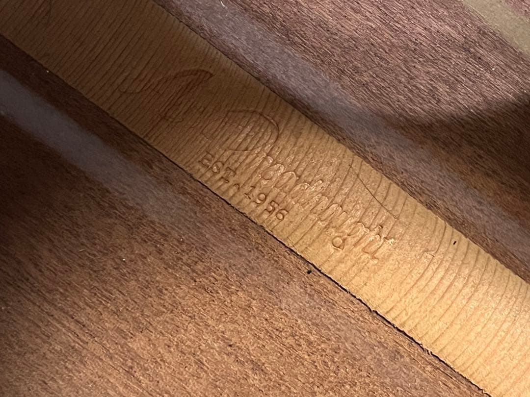 D*i様 Aria Dreadnought EST 1956 AF-65BS u