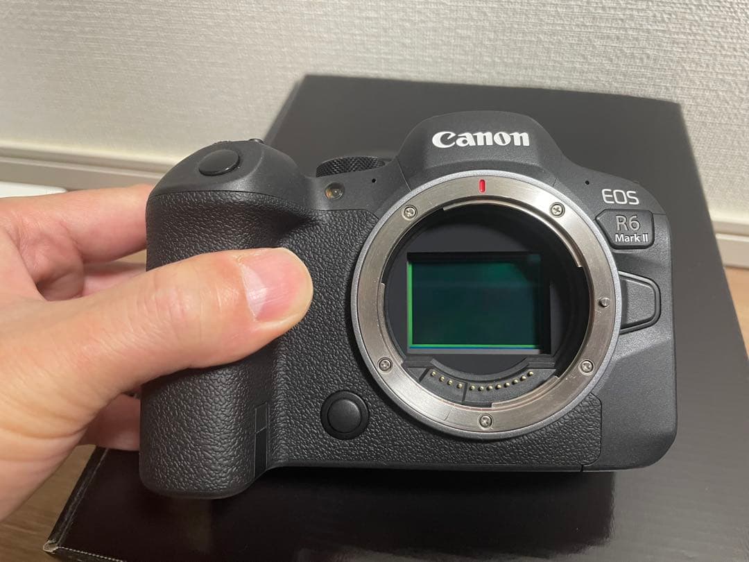 Canon EOS R6 Mark II 本体と付属品