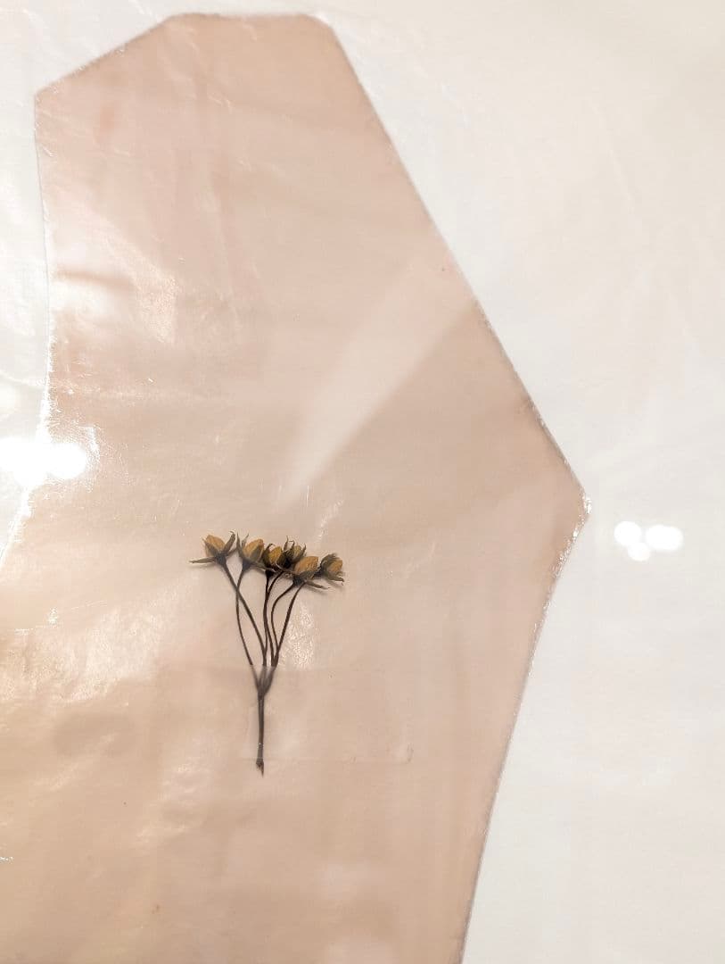 鉱物標本　mica +dry花 2点対雲母原石