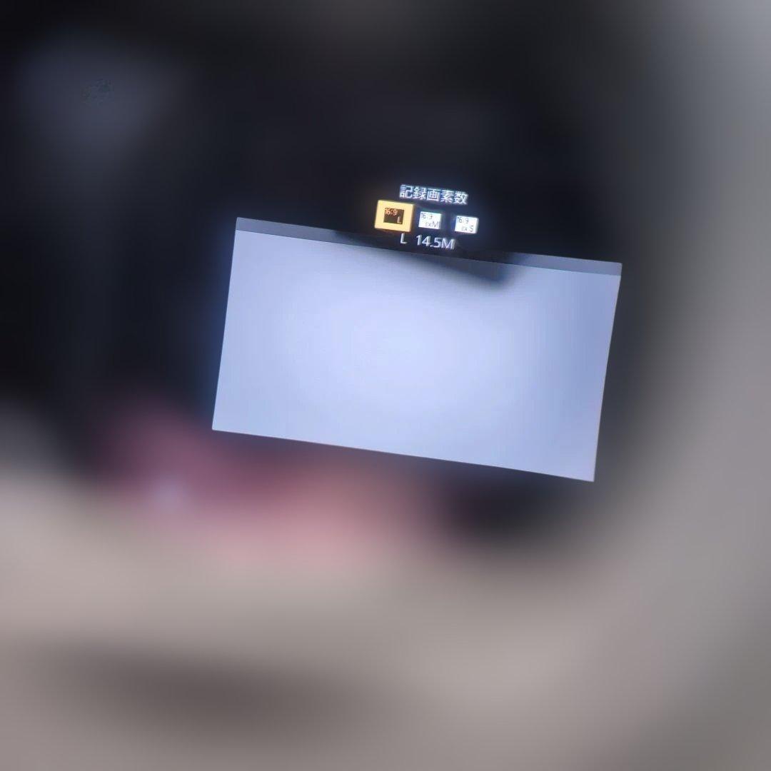 Panasonic LUMIX G9 PRO / V-Log L対応モデル