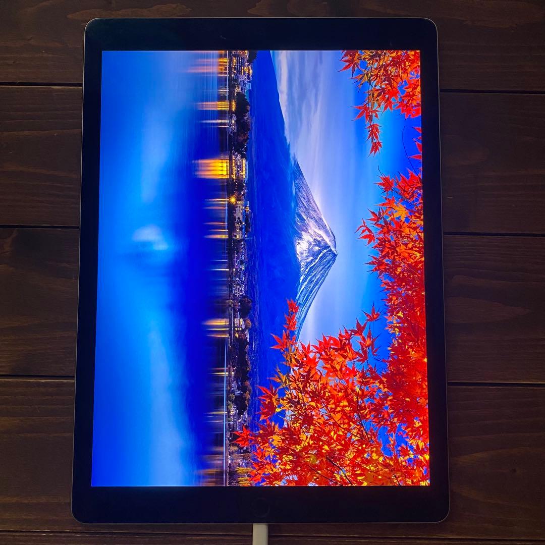 iPad Pro 12.9 インチ 第1世代 128GB ジャンク