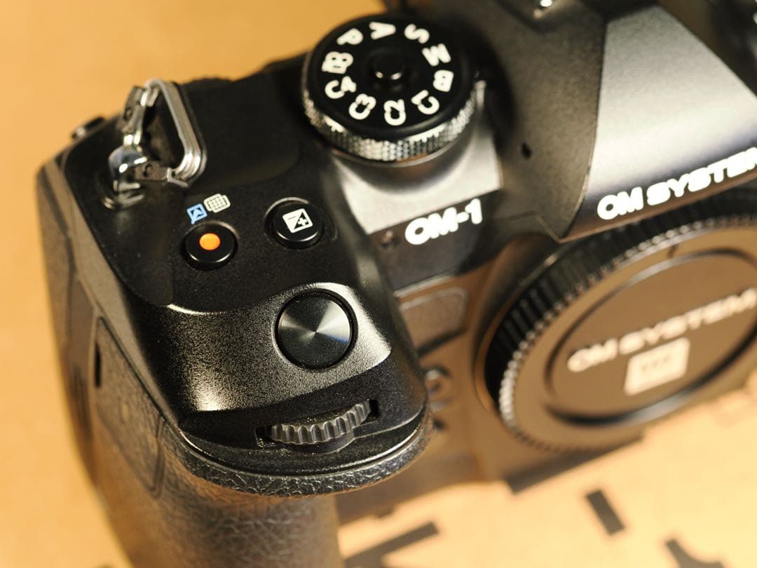 OMデジタルソリューションズ OM SYSTEM OM-1 Mark II