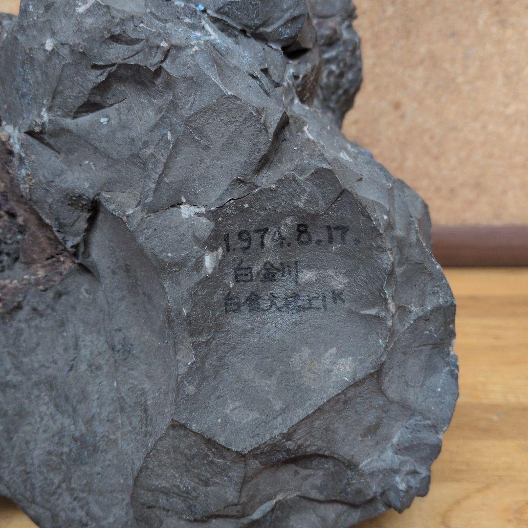 アンモナイト化石 (447)木製台座付き