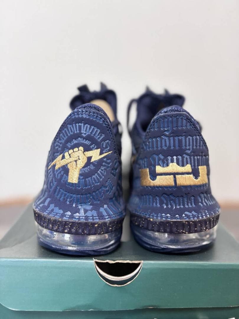 ナイキ レブロン 16 ローEP タイタン 新品 CJ9920-400 26cm