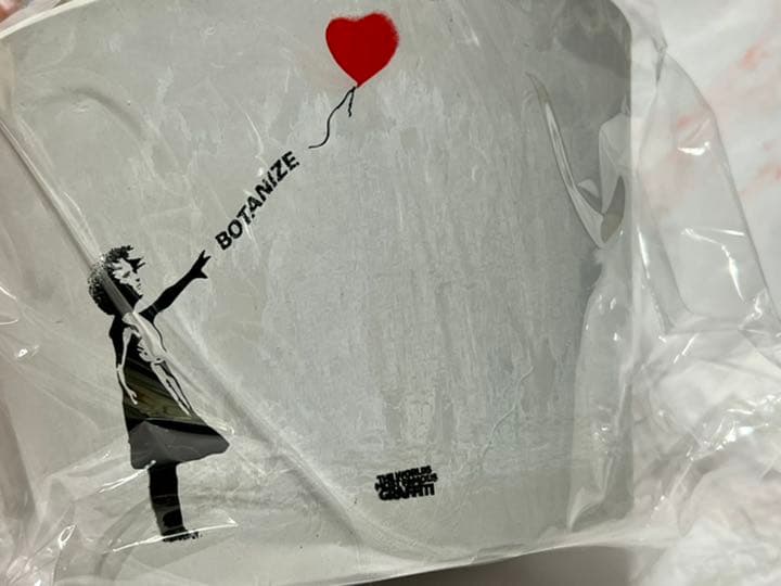 BOTANIZE バンクシー プラスチック鉢