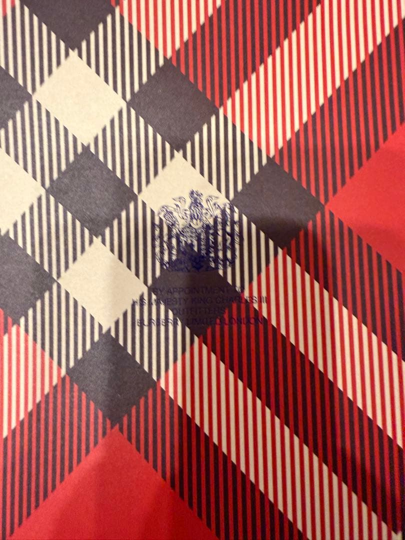 Burberry ガーメントケース　ショップ袋　大　リボン付き　美品