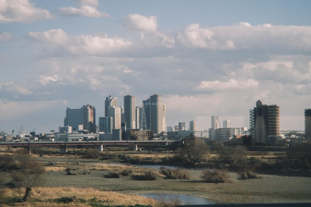 希少なPaxette M39アダプター付き！Tele-Ennalyt 135mm