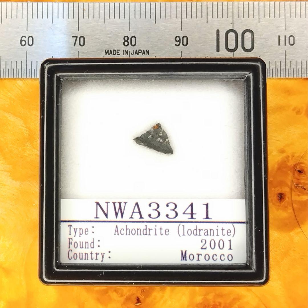 ウルトラ希少ロードラナイト✨NWA3341原始的無球粒隕石