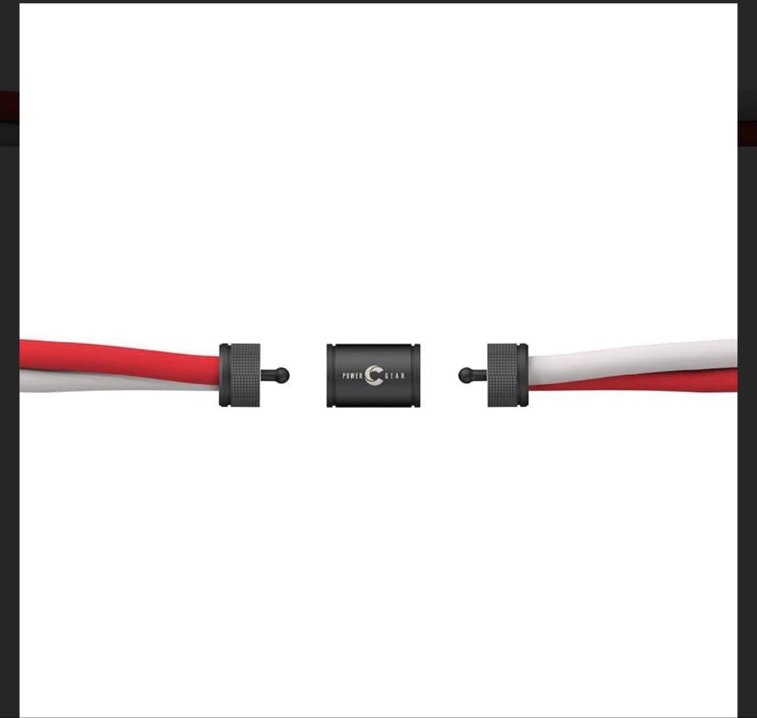 【限定】POWER GEAR DUAL ダブル仕様