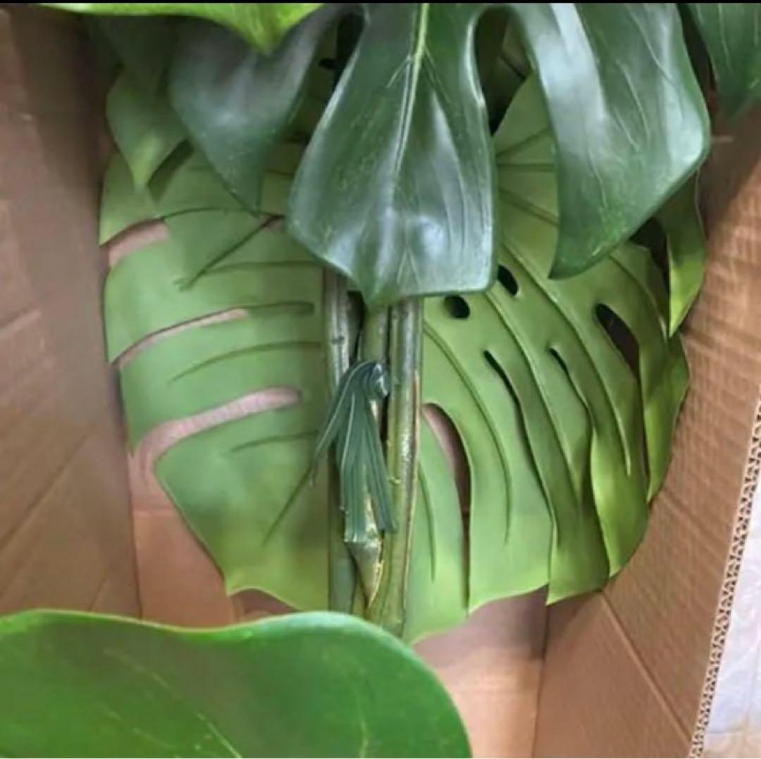 光触媒　人工観葉植物　ウォールグリーン　フェイクグリーン　モンステラ125