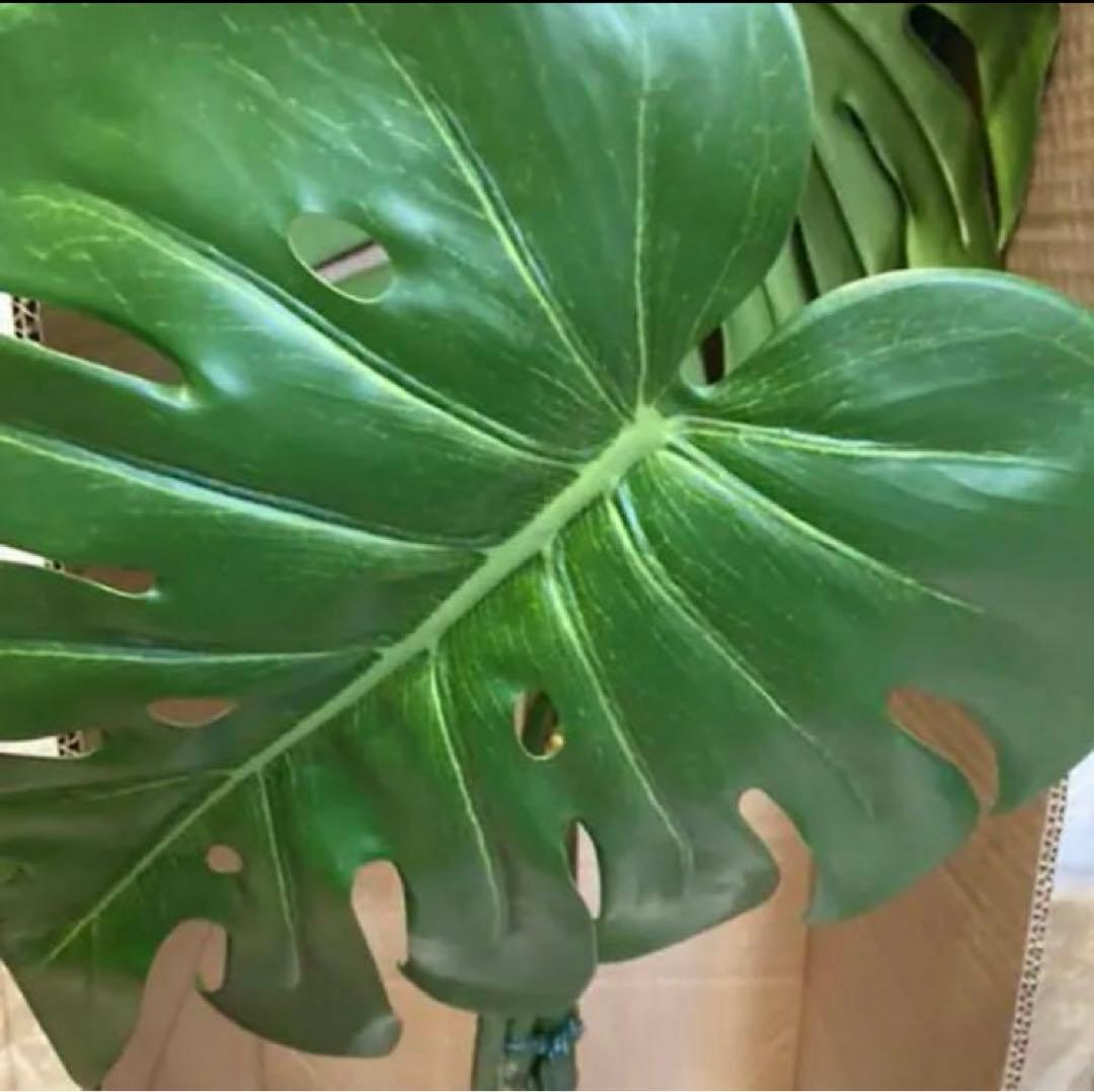 光触媒　人工観葉植物　ウォールグリーン　フェイクグリーン　モンステラ125