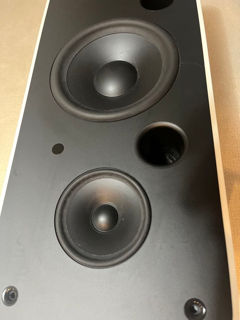 Apple iPod Hi-Fi 動作確認済み