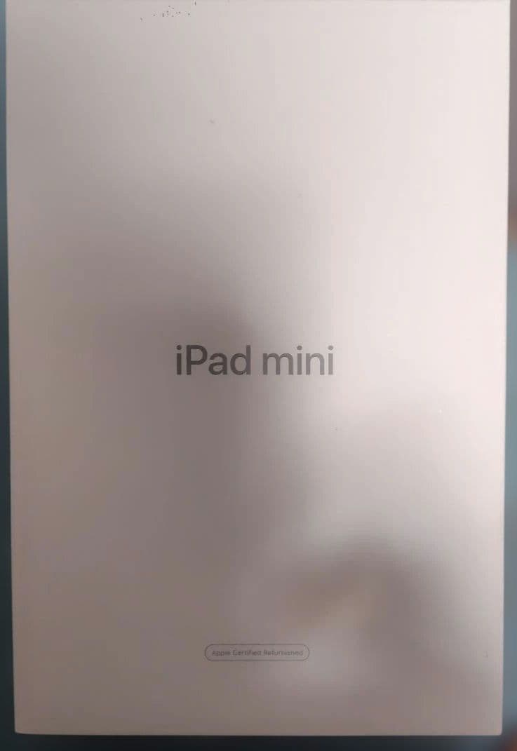 天*ん様 Apple iPad mini5（第5世代）本体　64GB 箱あり
