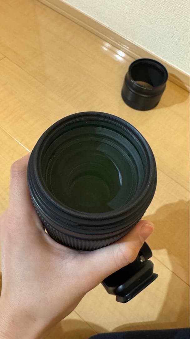 sigma 100-400mm F5-6.3 DG DN OS ソニーマウント