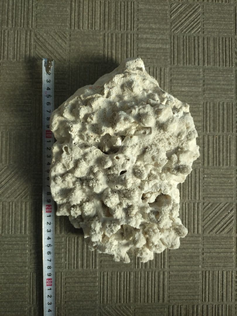 デスロック ホワイトサンゴ おまとめ