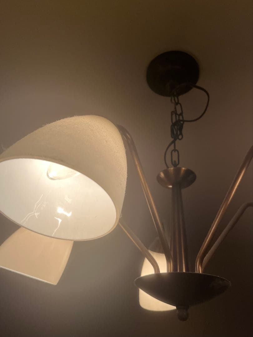 ◉現地引取限定◉Lloyd's Antiques ライト 5灯