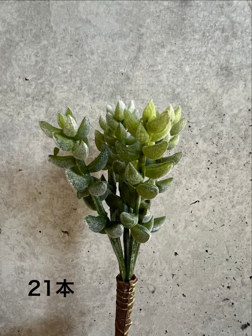 【東京堂】フェイクグリーン　多肉植物系セット