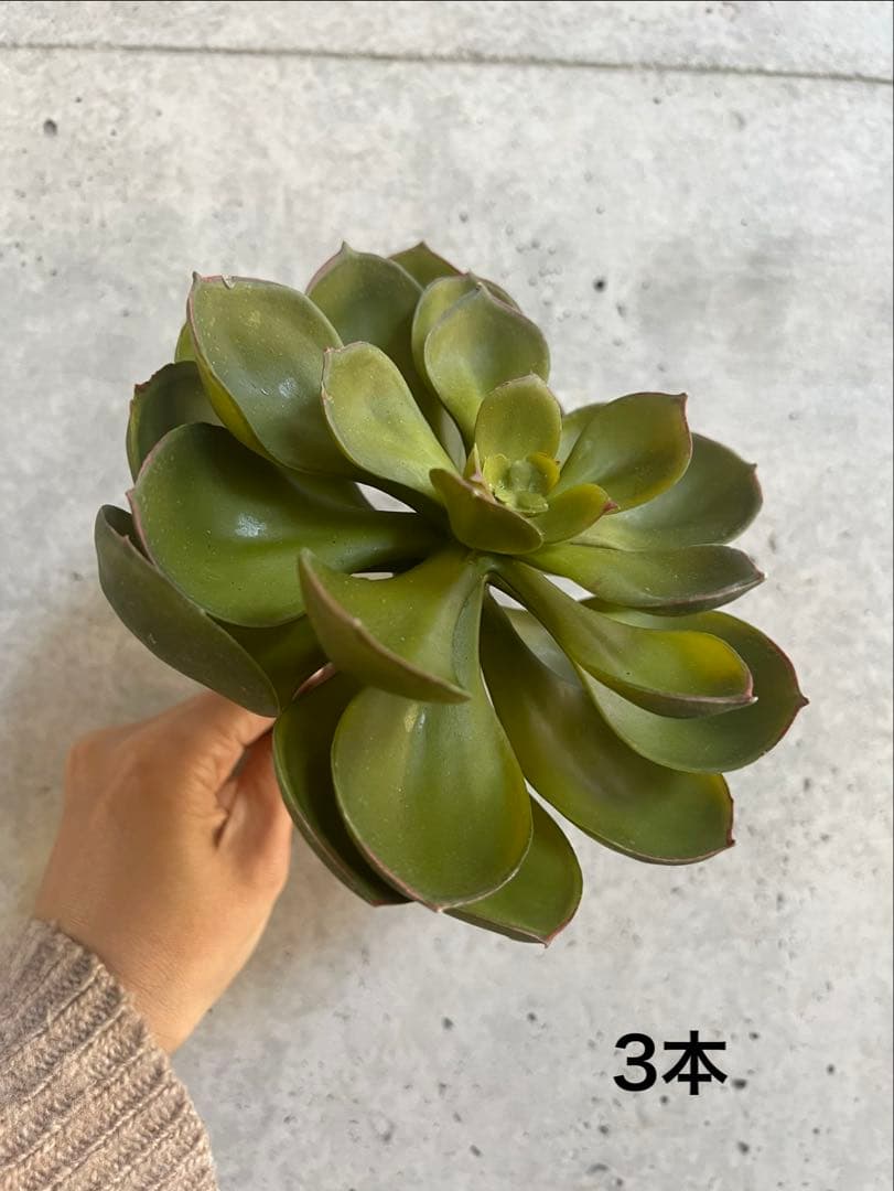 【東京堂】フェイクグリーン　多肉植物系セット