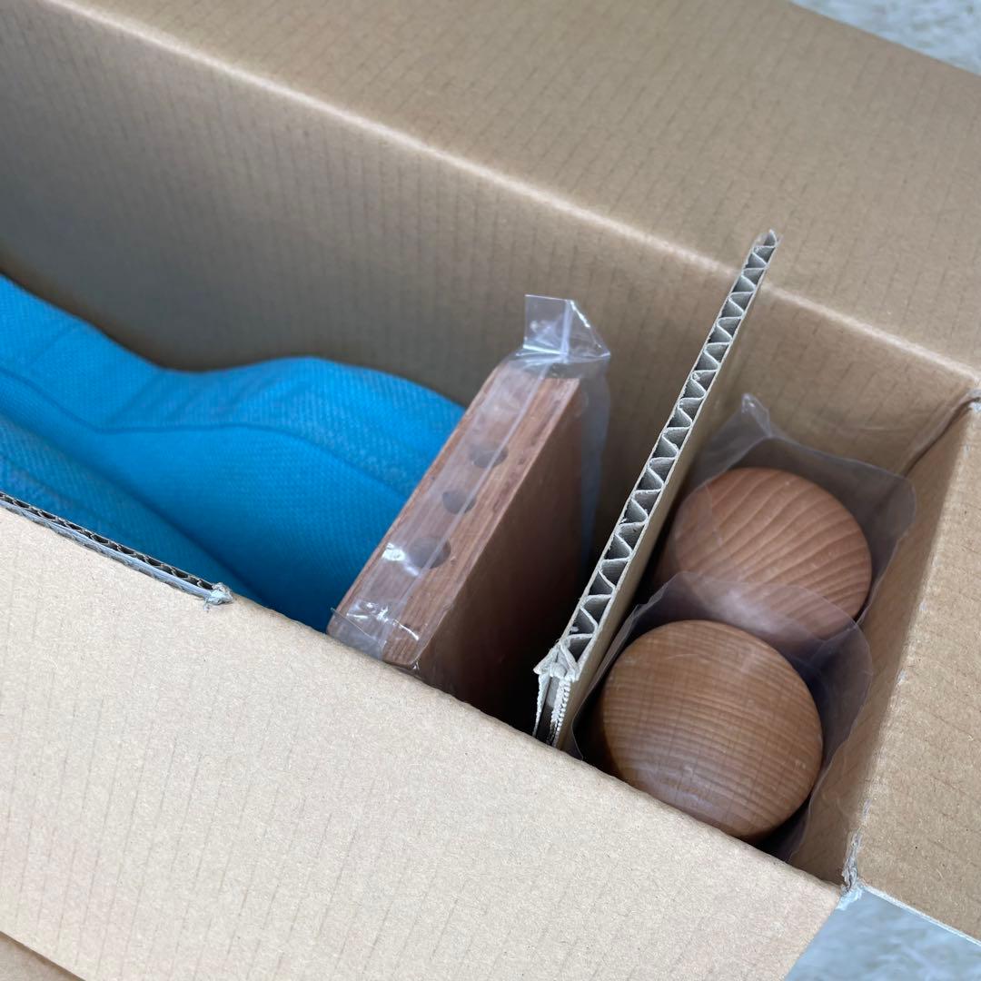 Rybo サカモトハウス リボ社 バランスイージー 姿勢矯正チェア