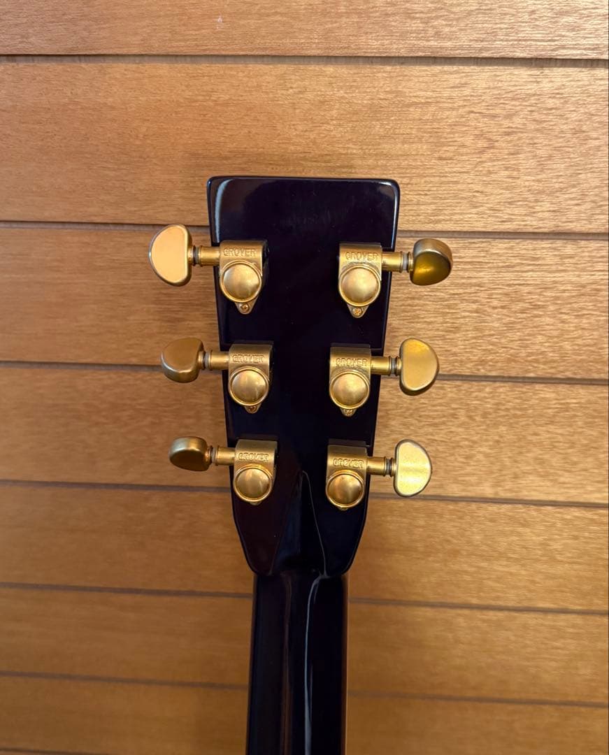 ギター Headway HF-V150SE/FM