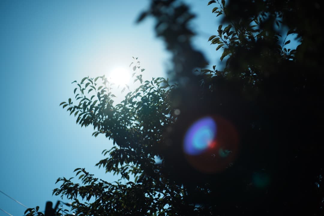 【極美品】Nikon New Nikkor 85mm F1.8 ニコン 773