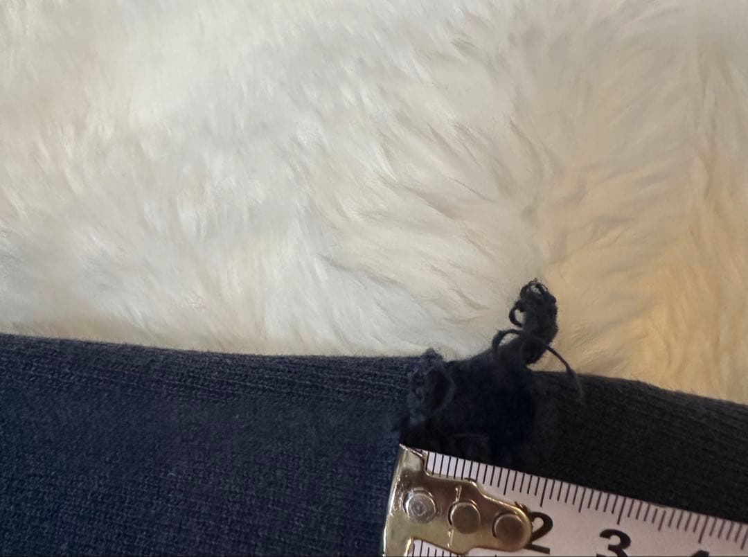 90s champion チャンピオン リバースウィーブ トリコタグ