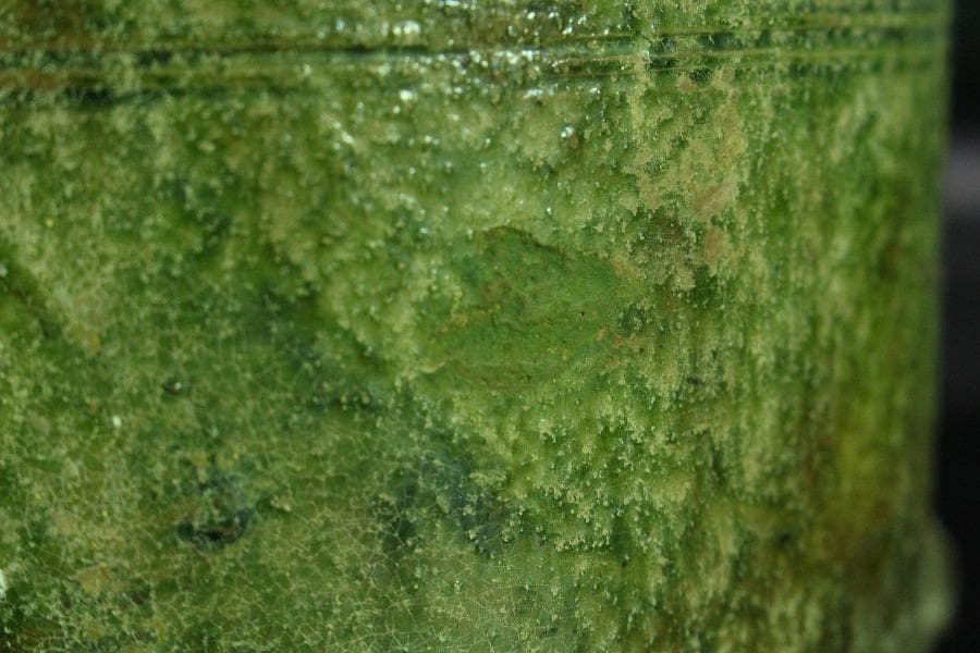 中国美術 緑釉 菌 後漢 時代物(K-A357)