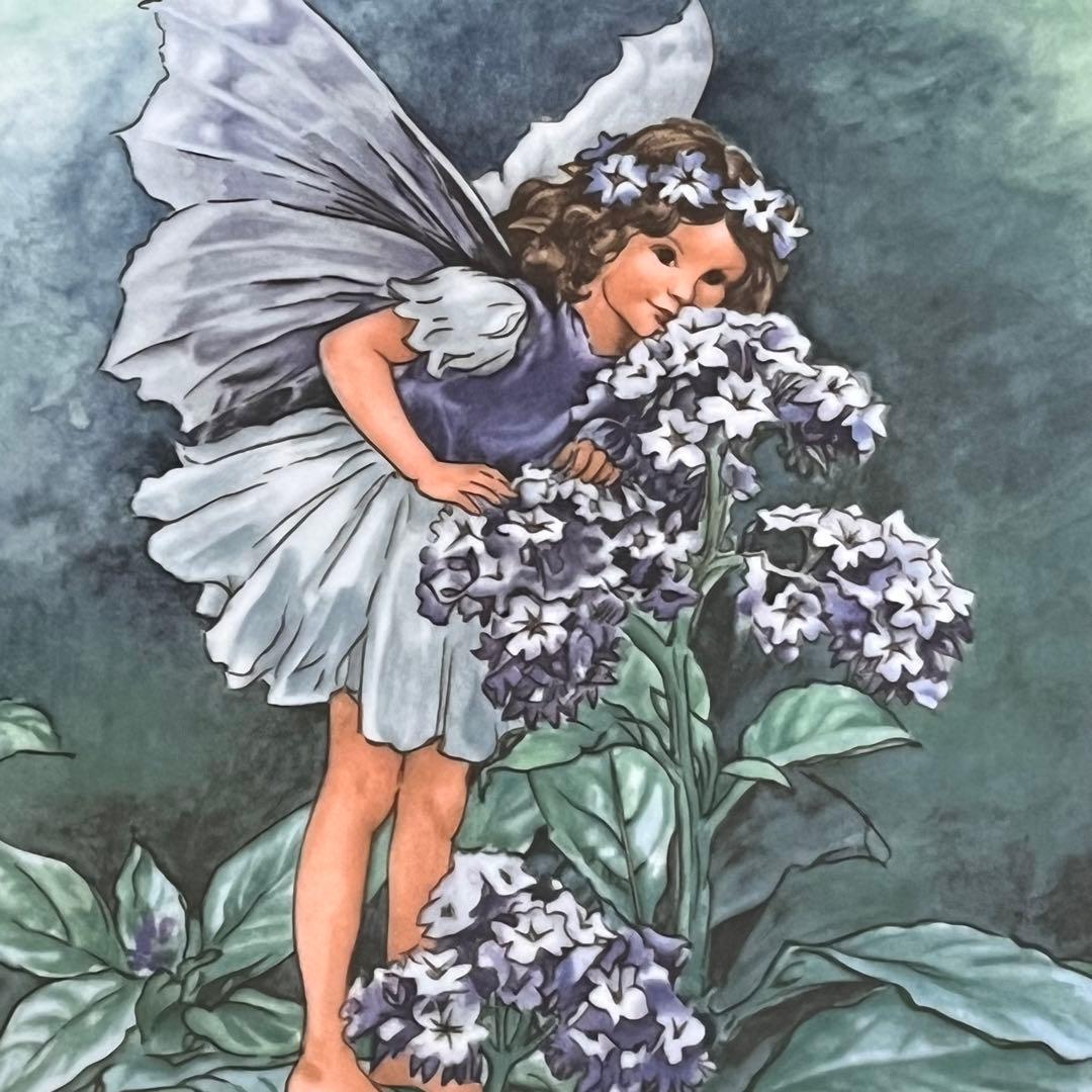 【レア美品】ビレロイ＆ボッホ★フェアリー★シシリー・メアリー　飾り皿　5枚