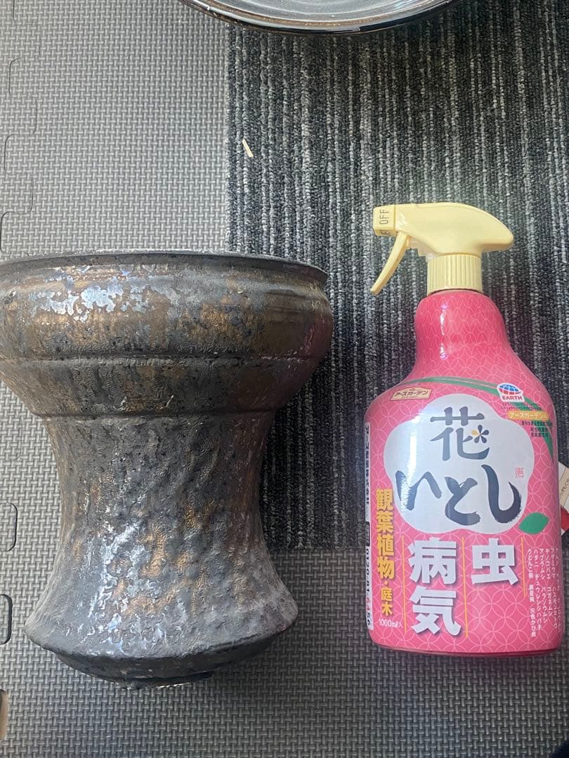 赤*メ様 姫野翔太　KIMERA大鉢　金彩菊模様　アガベ　塊根植物などに　植木鉢