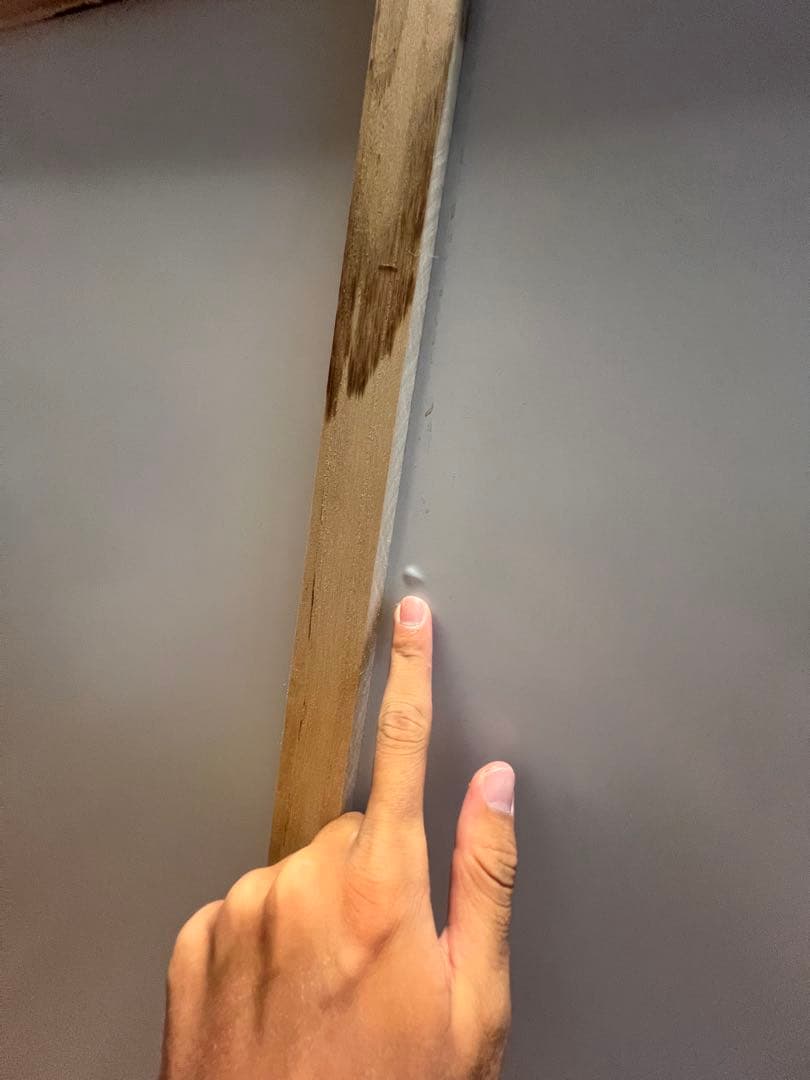 Ageha180センチ大型爬虫類ケージ FandK