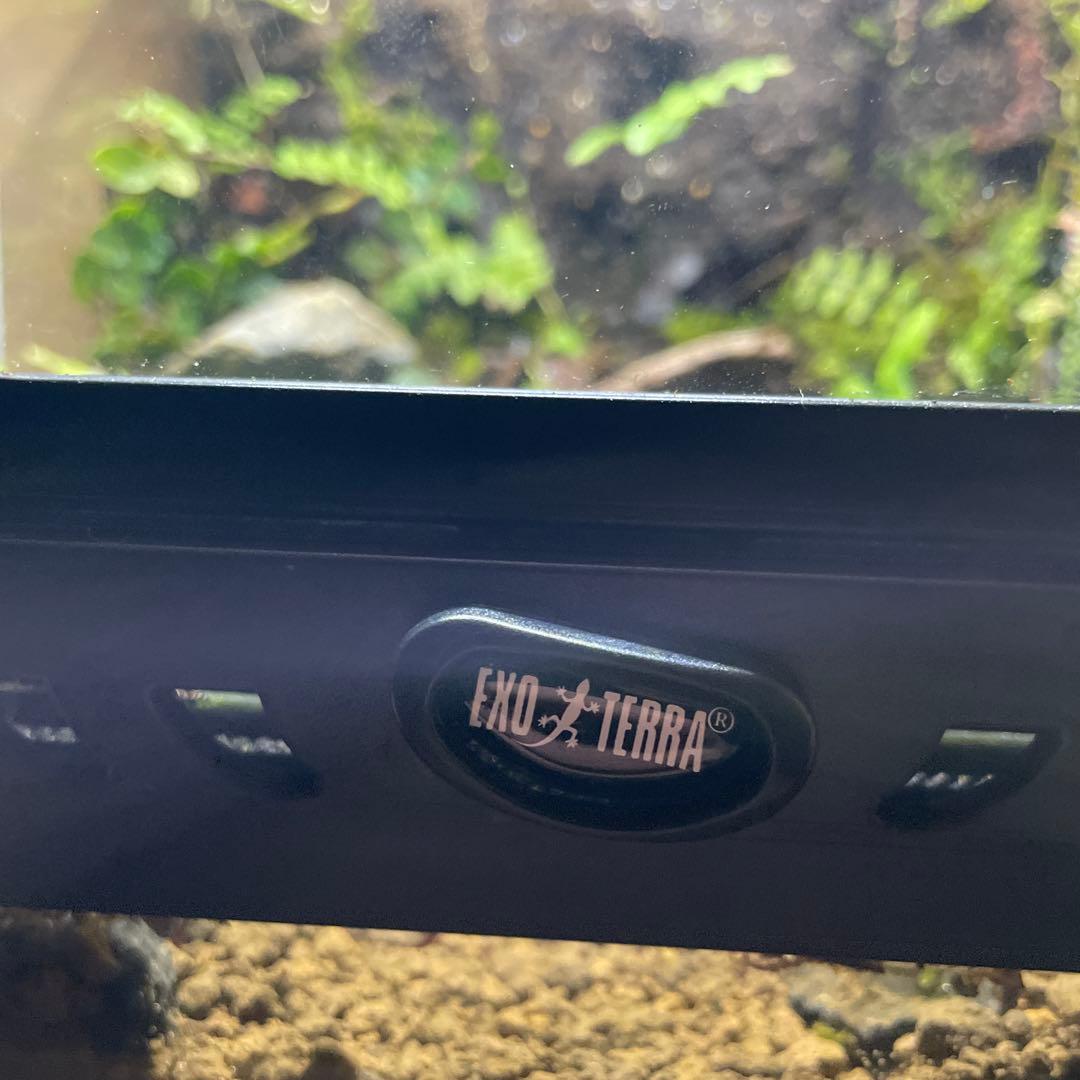 【受注生産】苔テラリウム、パルダリウム、オーダーメイド受付中