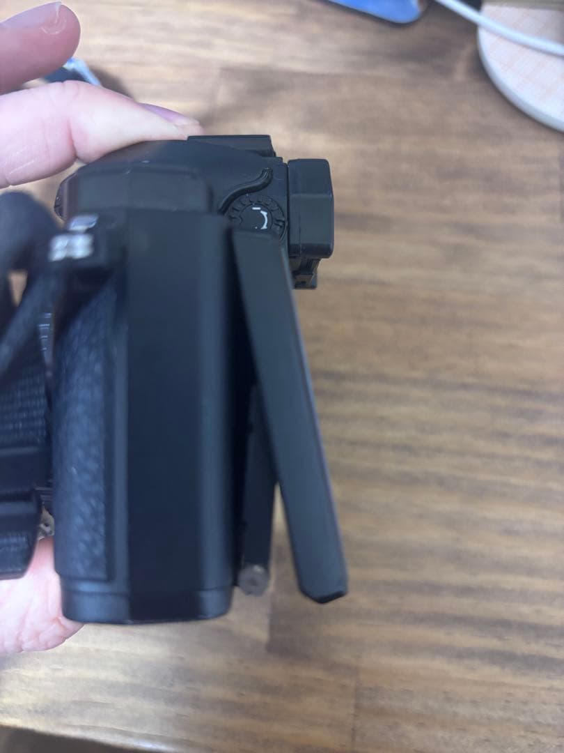 オリンパス　e-m10 mark ii