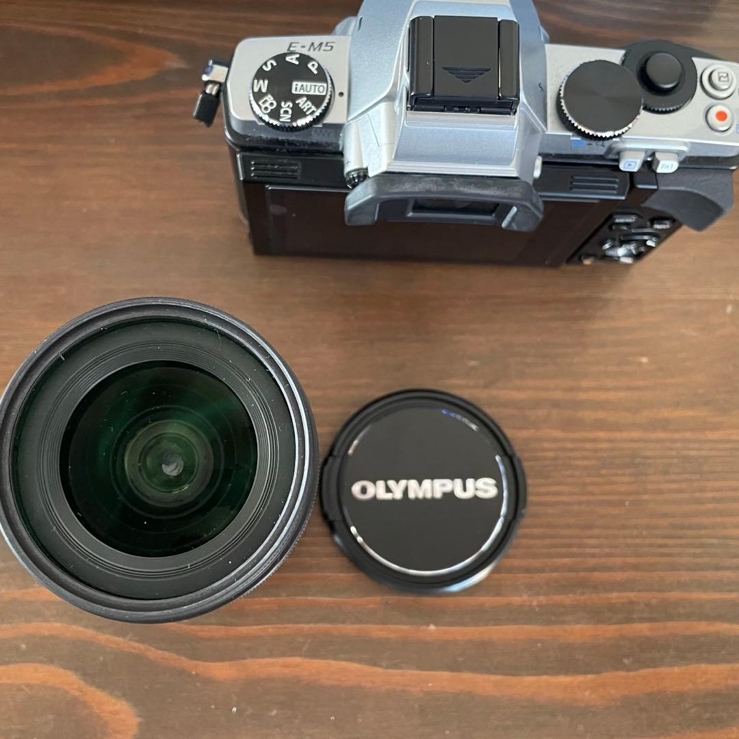 オリンパスOM-D E-M5