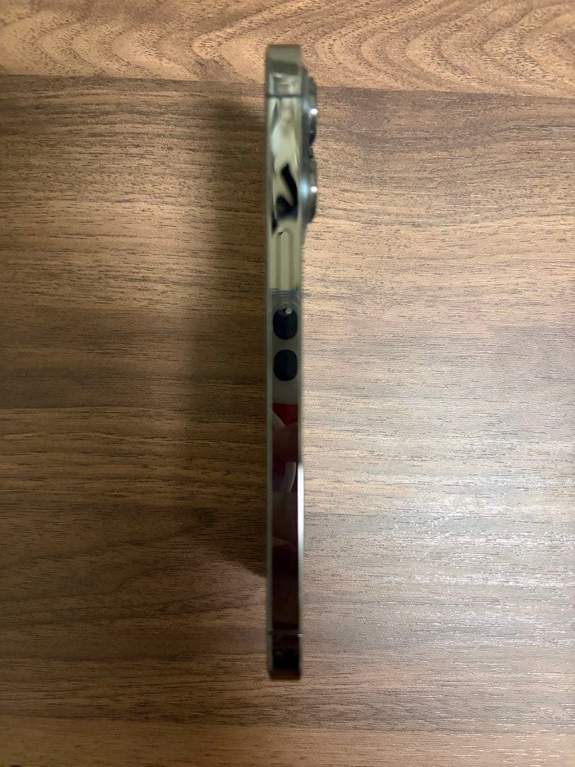 Apple iPhone 13 Pro グラファイト本体